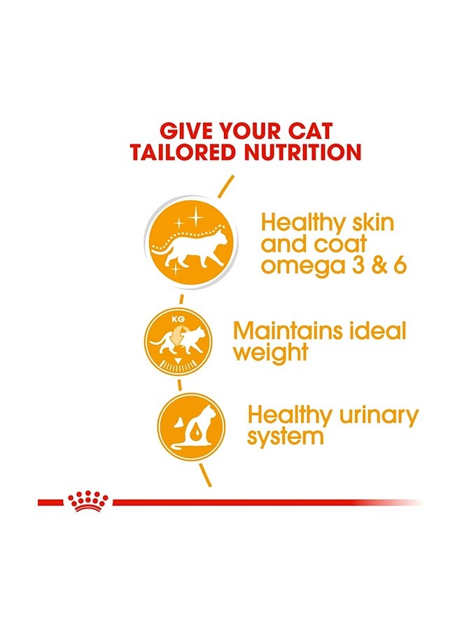رويال كانين طعام القطط الرطب بنكهة المرق للعناية بالشعر والبشرة - 85 غرام - Image 3